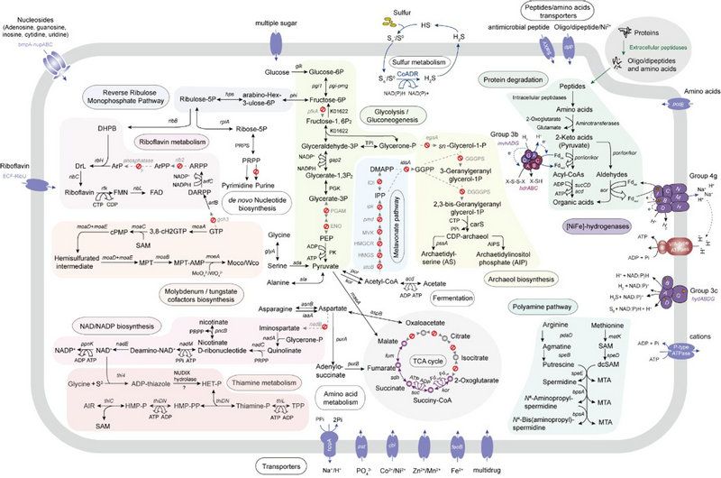 AE537DC309D2A2A380596EB27B6_F9A2C2A8_159D3