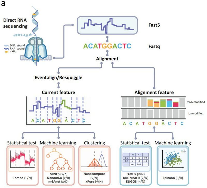 DB6FE85118E4F9BE01FDA358615_B79740B2_12946 DB6FE85118E4F9BE01FDA358615_B79740B2_12946