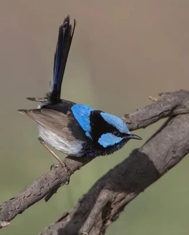 7E51510518C991562D214F6F69F_899575B9_6BA3 7E51510518C991562D214F6F69F_899575B9_6BA3