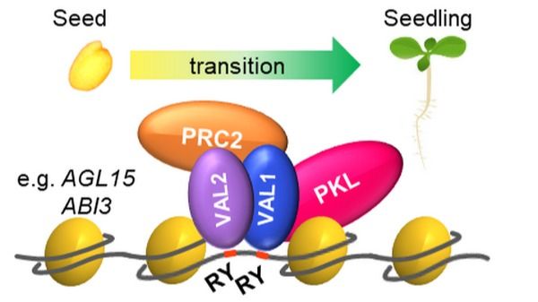 ��ҳ|ng������Ϸ�й����Źٷ���վ