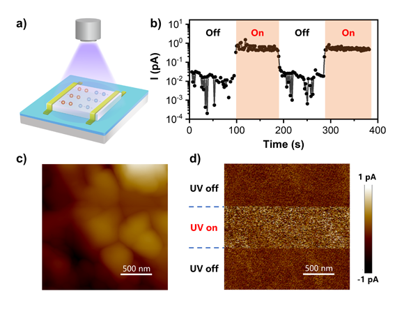 ��ҳ|ng������Ϸ�й����Źٷ���վ