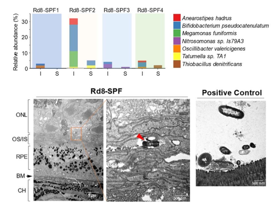 CAD856C8999026BF28B3C8BF900_49FFB6EB_18287