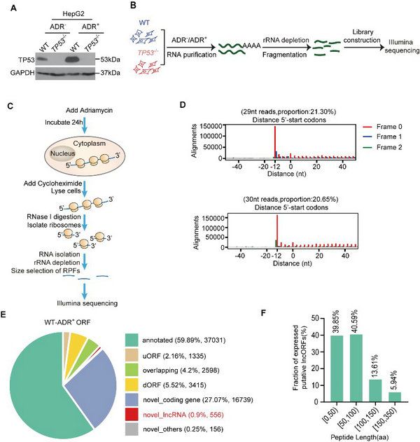 359898D748C1C995FDD0F9D5FBC_CE7B6D8D_E70F 359898D748C1C995FDD0F9D5FBC_CE7B6D8D_E70F