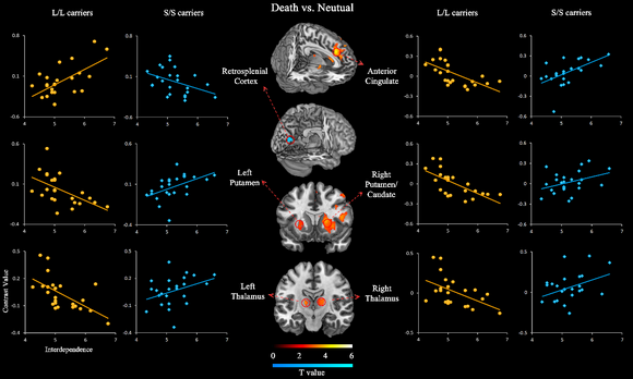 ��ҳ|ng������Ϸ�й����Źٷ���վ