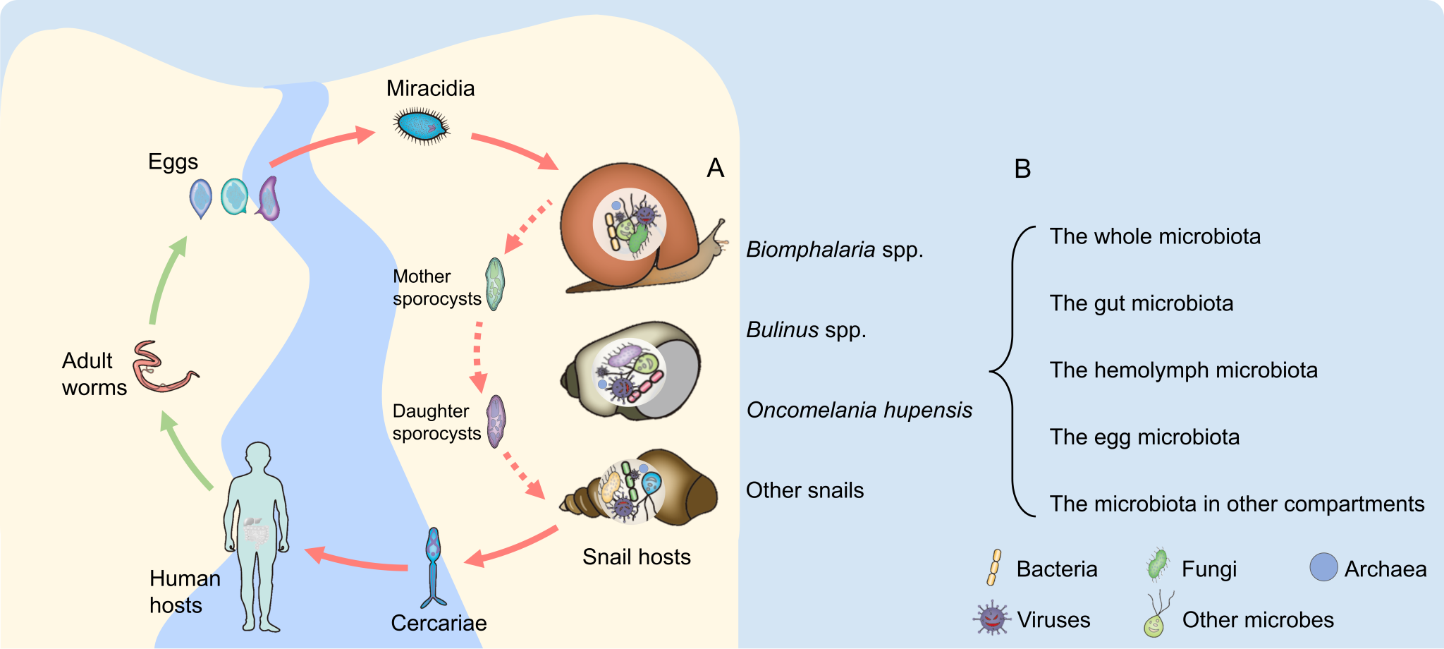 ��ҳ|ng������Ϸ�й����Źٷ���վ