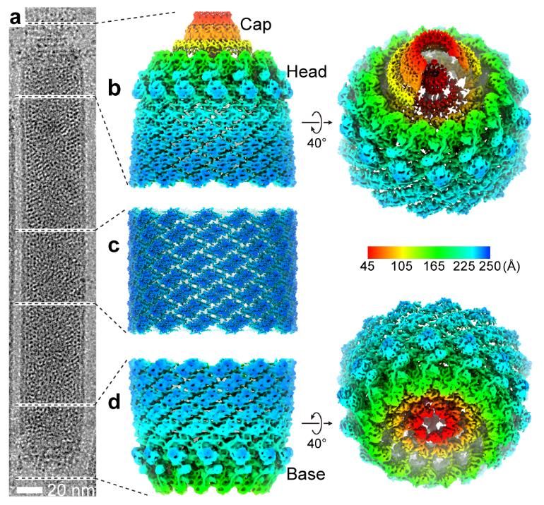 B8EC74B168EDF55AC557672D794_CBBBB57D_25FCC