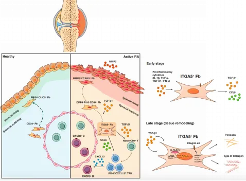 F43D8B1D7F55AE6BD15232BF374_01B224B0_2D278