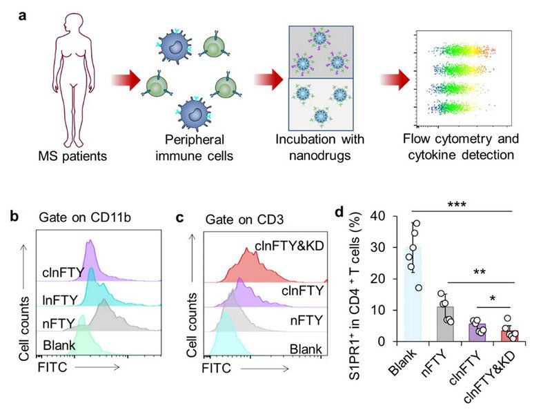 FE7181614BC71511F37B3154CBA_4ABBE09A_1065D FE7181614BC71511F37B3154CBA_4ABBE09A_1065D