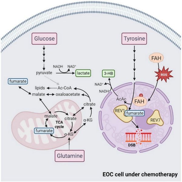 CBF7BAEC5B8FB514D57D7A2D9EC_50D69B62_CEE4