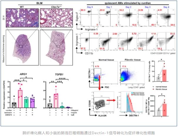 29A60B08FFA29DB7E6D3D262D4B_A1D62BD5_D81E