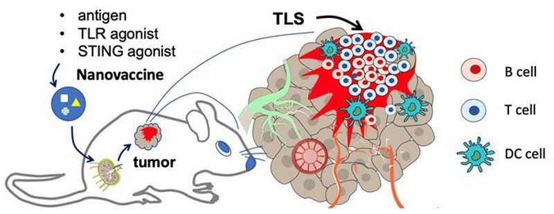 FB337943CAB9B584BDBEE05704C_3B1250D2_B7F9