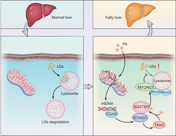 ��ҳ|ng������Ϸ�й����Źٷ���վ