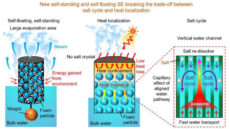 01A42221633DCC17F359DB264DB_27F8CECA_1278E