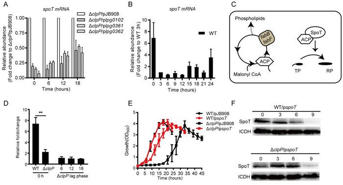 B605C988F2AFF33FC9881F74505_22CA9F8B_BADC B605C988F2AFF33FC9881F74505_22CA9F8B_BADC