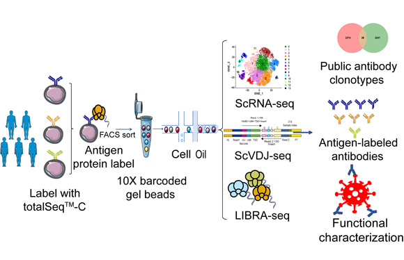 ��ҳ|ng������Ϸ�й����Źٷ���վ