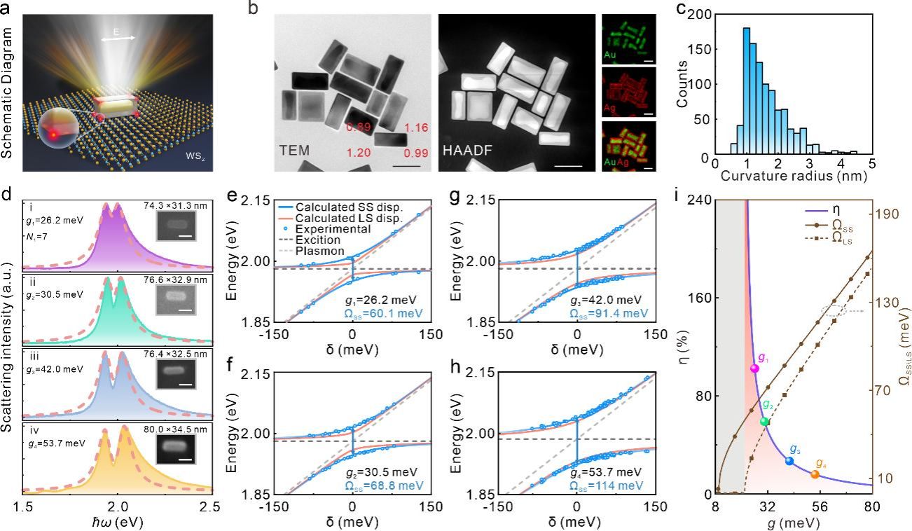 ��ҳ|ng������Ϸ�й����Źٷ���վ