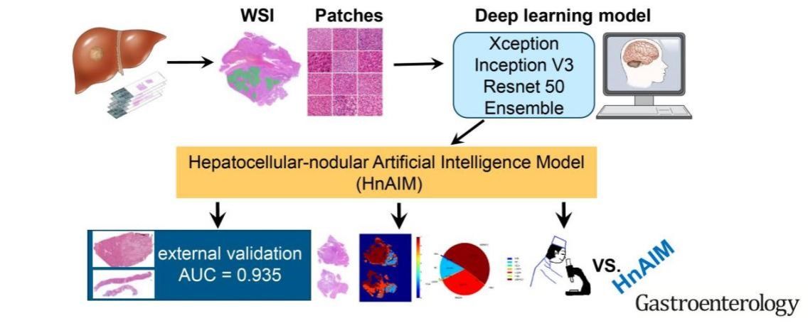 ��ҳ|ng������Ϸ�й����Źٷ���վ