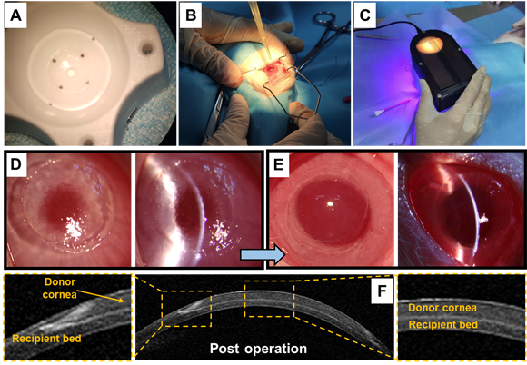 ��ҳ|ng������Ϸ�й����Źٷ���վ