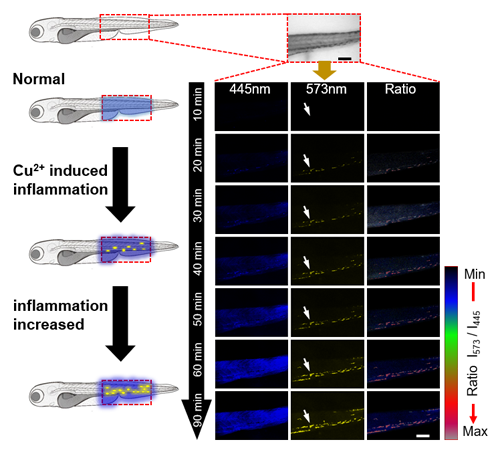 ��ҳ|ng������Ϸ�й����Źٷ���վ