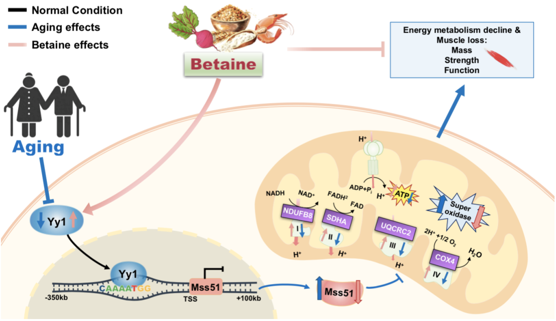 7DCBF8EA4C0B6F21584E0D7E4D7_13589EBF_50DB1