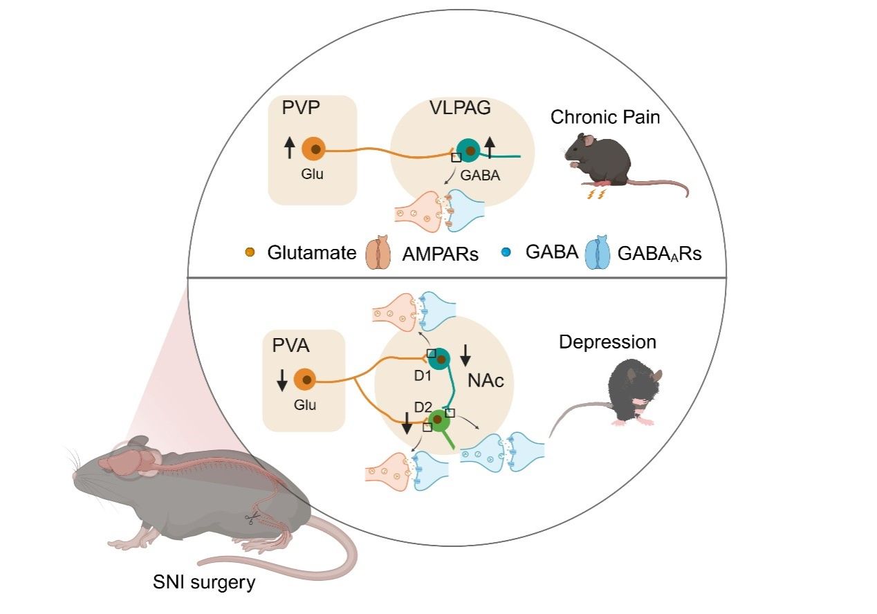 C666BF763B2F5F469C810236441_D51864BA_11ABF