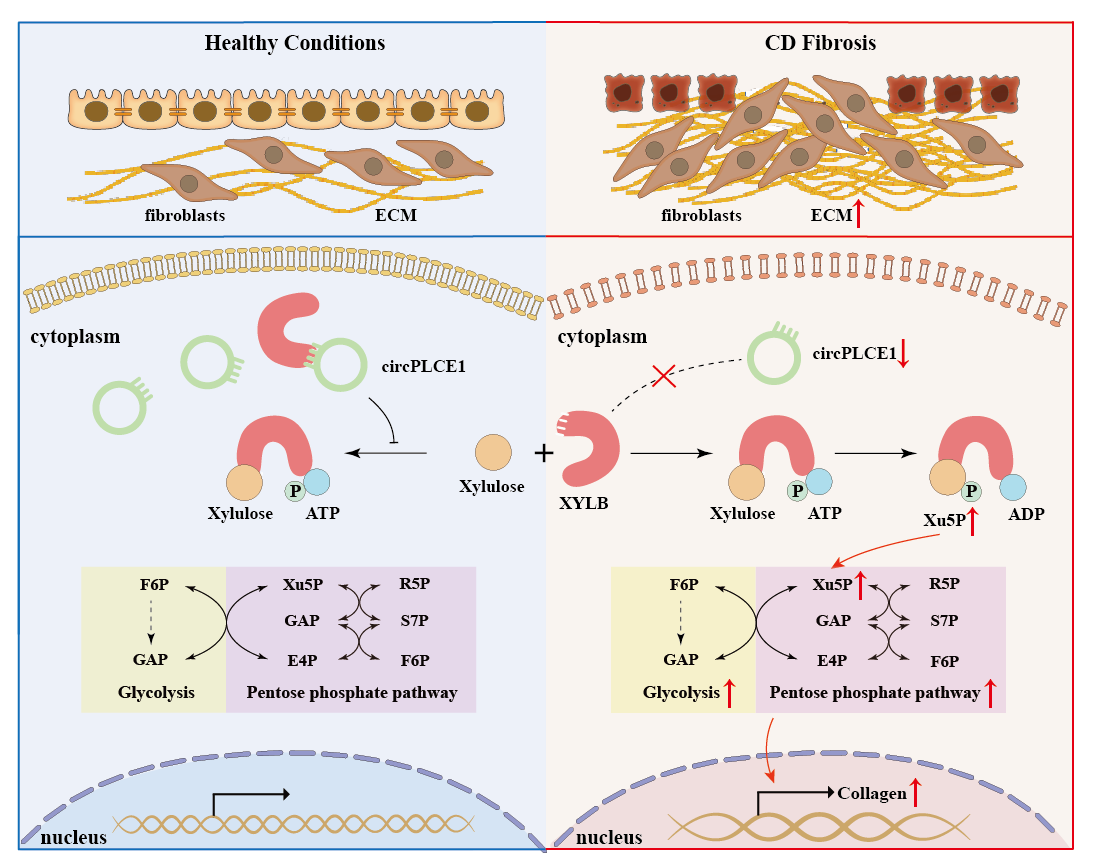 ��ҳ|ng������Ϸ�й����Źٷ���վ