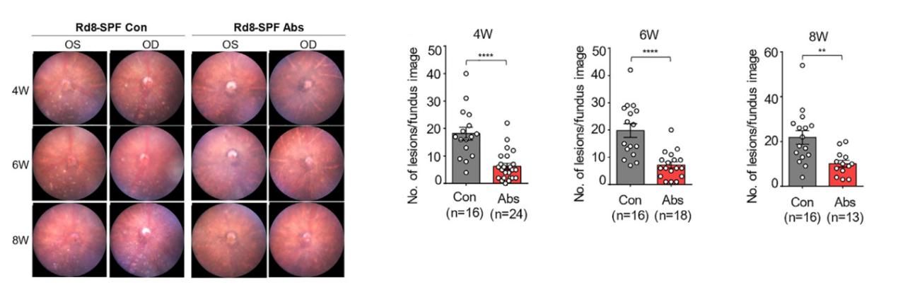 C4DE68D9F74B038C44930B05815_E79EE1E6_E490