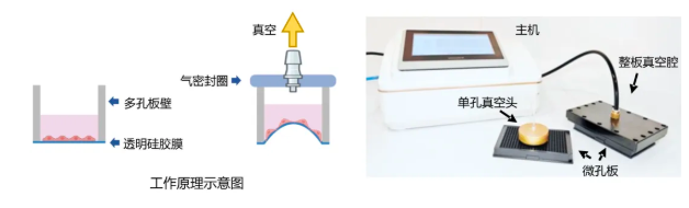 D1C7269D509906BB74C76D554B7_166A8613_13262