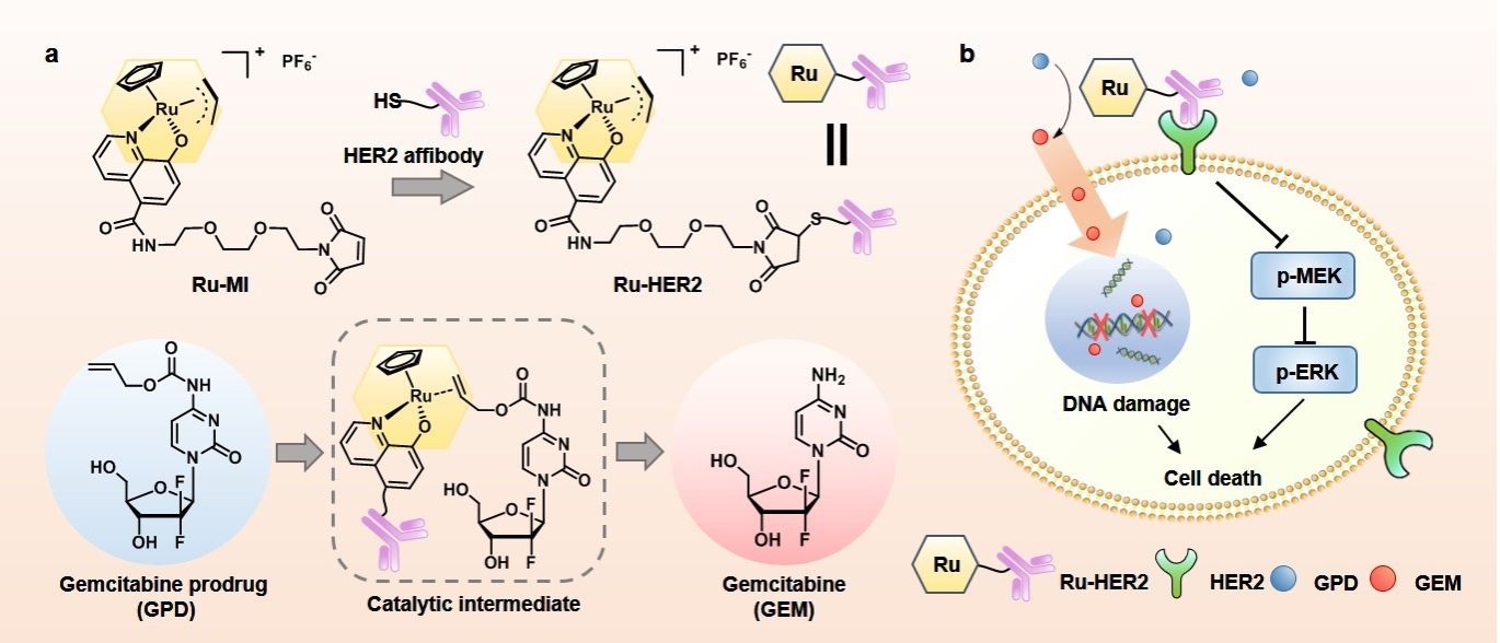 304DA4DAC75717F9563BBCC1014_D49D0BDC_16EAD