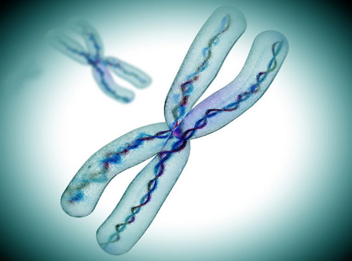 ��ҳ|ng������Ϸ�й����Źٷ���վ