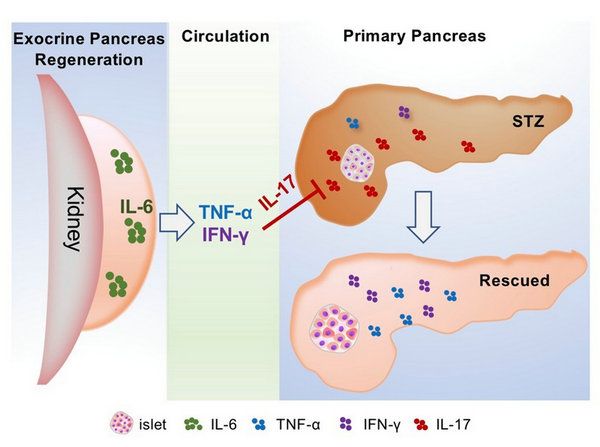 33668FB7A6BB9D7AD560B9E429C_1D383535_8782