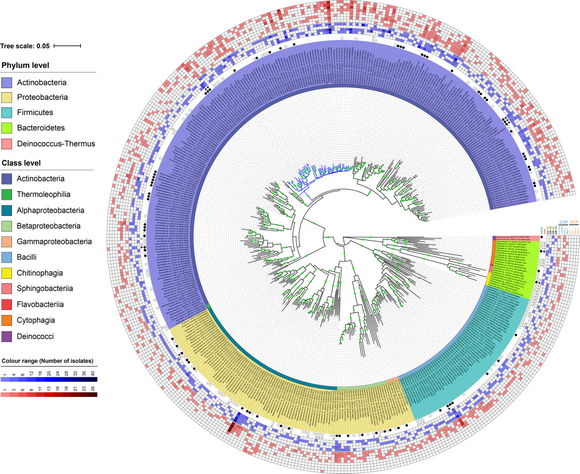 ��ҳ|ng������Ϸ�й����Źٷ���վ
