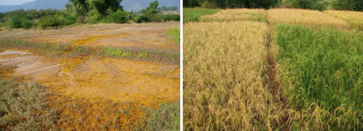 ��ҳ|ng������Ϸ�й����Źٷ���վ