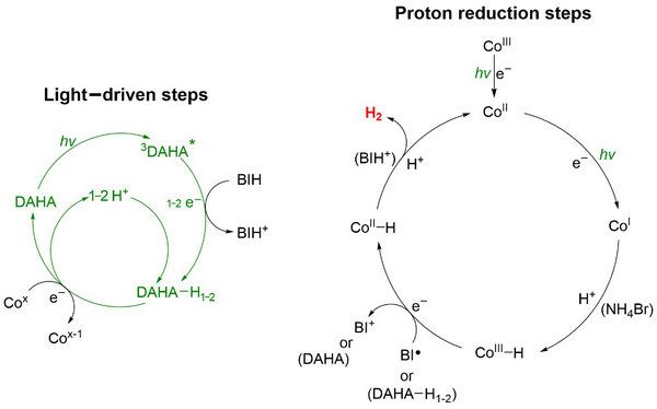 F88BE1C0021BBE079C499EB9B02_B174D847_581A
