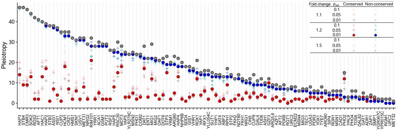 5840C445A266DA063BEE7CCD312_DFAD8199_19DAA
