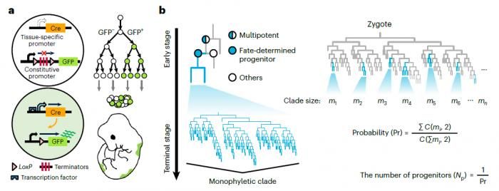 B757083EA8971E7F9395DBC3B73_D917EC2E_83F3