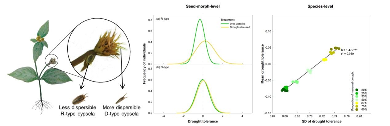 1434B3CA9600196BEA256B9169D_C17D9578_BFD4