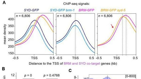 ��ҳ|ng������Ϸ�й����Źٷ���վ