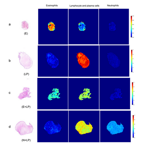 ��ҳ|ng������Ϸ�й����Źٷ���վ