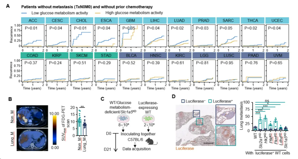 ��ҳ|ng������Ϸ�й����Źٷ���վ