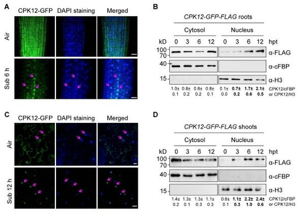 7AD9FE8CA33642ECAE8799CF98F_0B8052D7_BE11