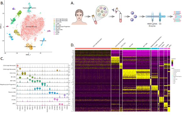 ��ҳ|ng������Ϸ�й����Źٷ���վ