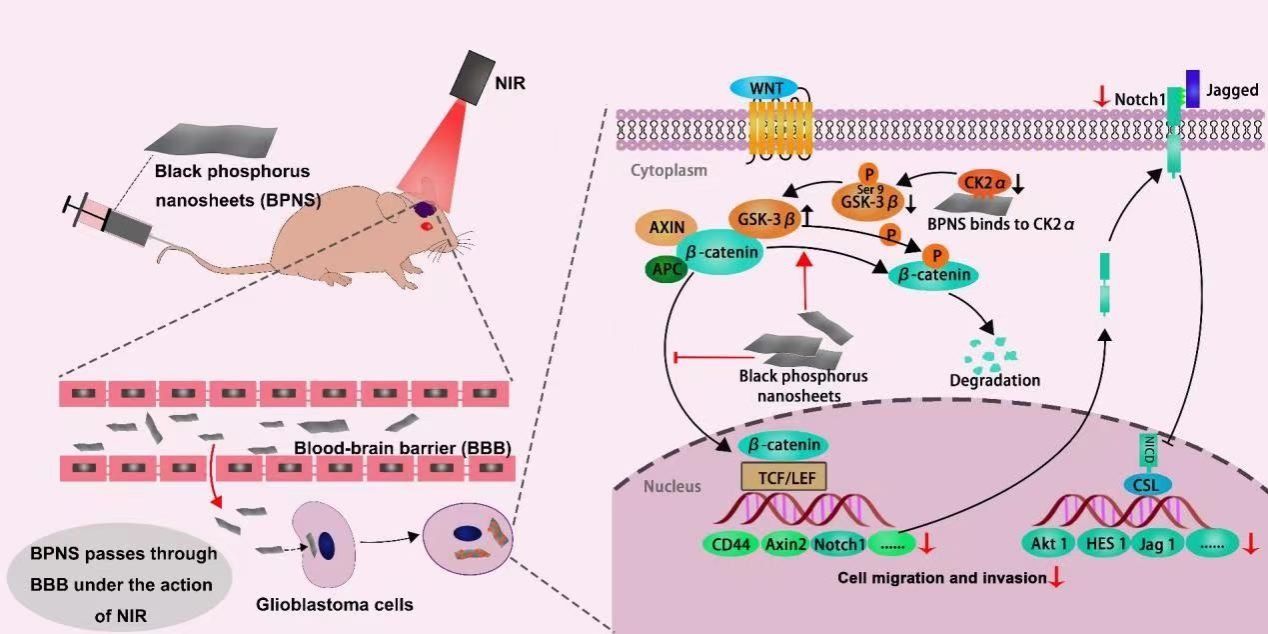 ��ҳ|ng������Ϸ�й����Źٷ���վ