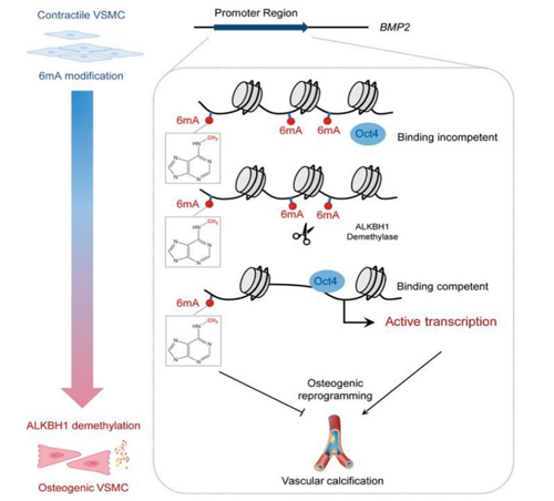 ��ҳ|ng������Ϸ�й����Źٷ���վ