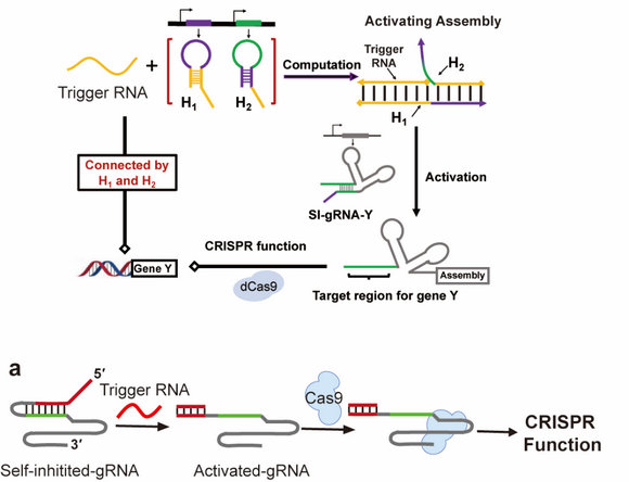 ��ҳ|ng������Ϸ�й����Źٷ���վ