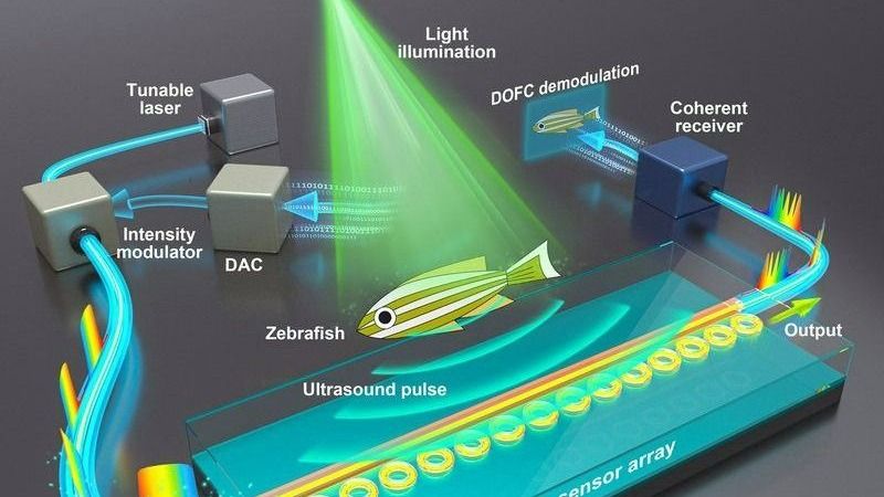 ��ҳ|ng������Ϸ�й����Źٷ���վ