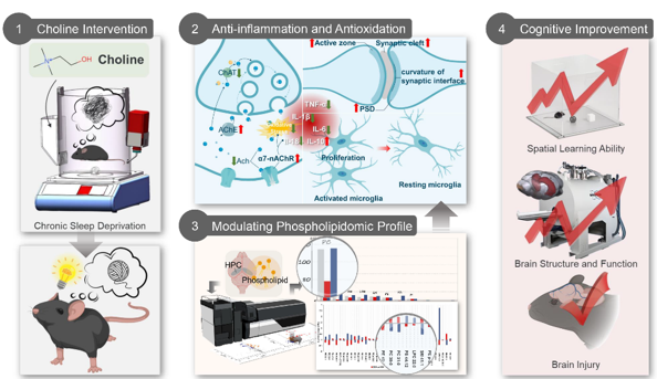 BF87816417807B41A825A10BF55_2B2F7E28_343A1