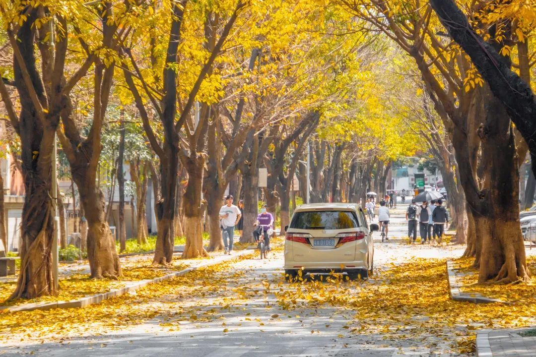 3CDCAEFB8C3EFFBA918AB04407A_2C519D96_37EEC ͼƬ