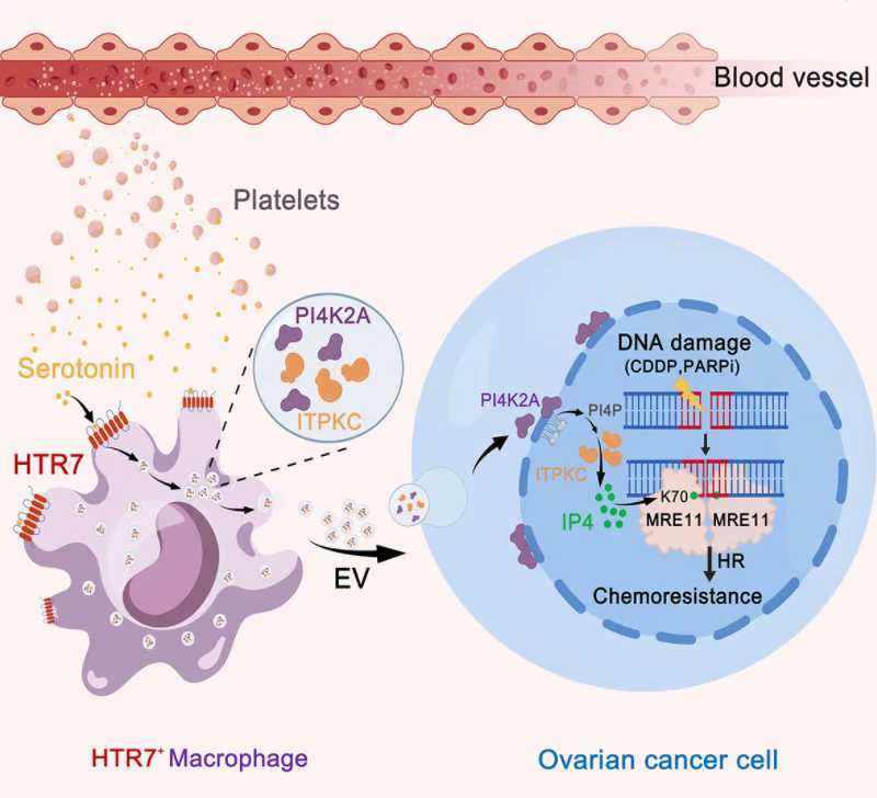 F9996B5879AC101E92BE5BB384E_6299A4D0_99F25