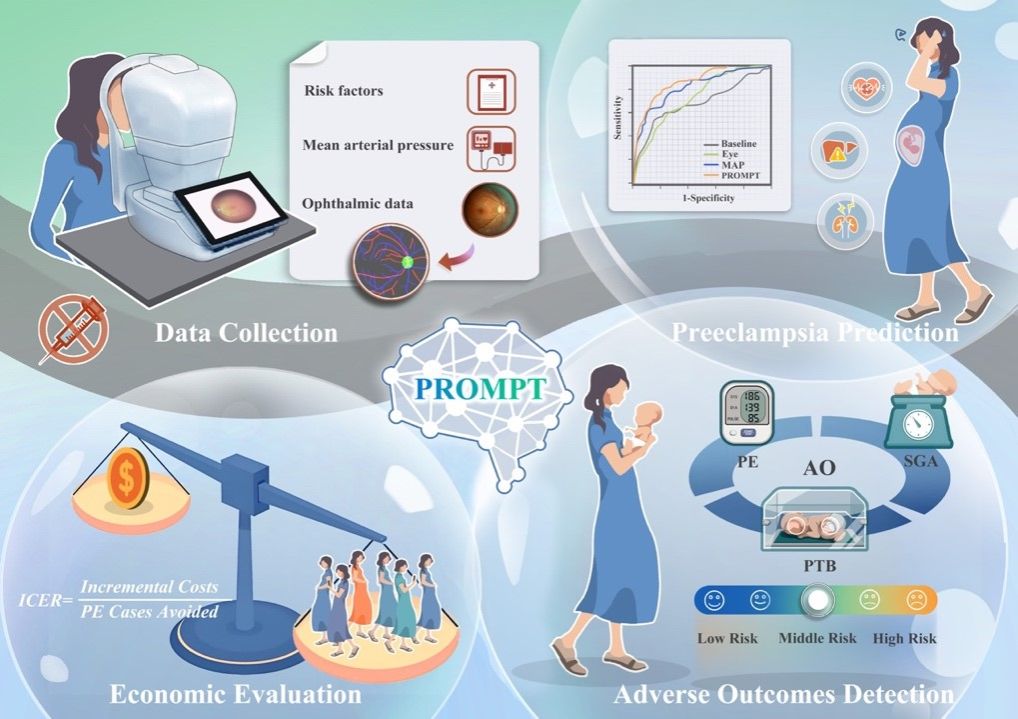 C6AB2A6E11EE444A495A92D1B83_D0AC3BFF_18535